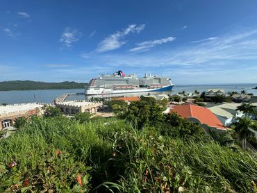 Cruise ship docked at tropical port surrounded by lush greenery
